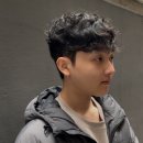 프링헤어 이미지