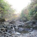 태봉1-2교 이미지