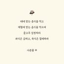 다연지