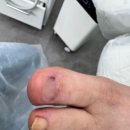 레푸스앤두두뷰티 이미지