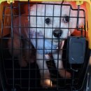 해동사우나 이미지