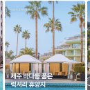 그랜드조선 제주 티스토리
