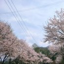 삼회리 강변 자전거길 이미지