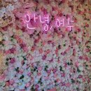 안녕, 여수 이미지