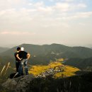 그린목장 이미지