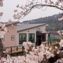 자연풍경 | 비토애 풀빌라펜션N럭셔리글램핑 직접 다녀온 자연풍경 후기