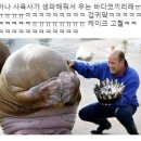 바다잔치 이미지