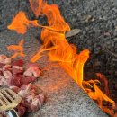 동명농장 | 대구 칠곡 노지감성 맛집 동명주말농장식당 방문후기