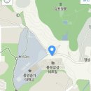 일루장어 이미지