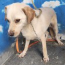 부강119안전센터 이미지