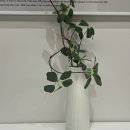 블루스프링리조트 이미지