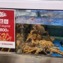 주식회사 마트킹안성 | [마트킹] 킹크랩 내돈내산 구매후기 / 킹크랩 이벤트 ! 6/20 ~ 6/26(수) 까지