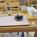 숲으로 떠나는 힐링 여행 | 측백숲으로 떠나는 특별한 힐링 여행!