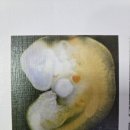 호성한의원 이미지