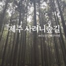 (주)사려니 | 제주 비오는날 가볼만한곳, 사려니숲길 비 올 때 무조건 가야 하는 이유 (주차장 꿀팁, 신발방수커버...