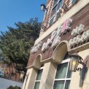 다담쌈정식 | 동학사 산책 후, 진짜 만족스러웠던 ‘다담’ 쭈꾸미 정식 후기, 데이트 코스로도 추천, 내돈내산 후기