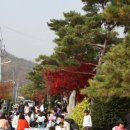 술빛 이미지