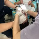 고덕키즈앤탑치과의원 이미지