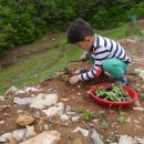 건호농장 이미지