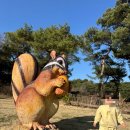 솔솔솔 다람쥐 숲 &amp; 파크랜드