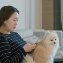 최준석야구교실 이미지