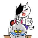 슈탐티쉬 이미지