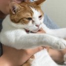 9.9치킨호프 | 2025年 9月~10月