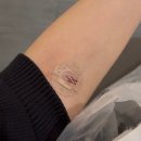 배선생 | 서울역차 PGT 통배 변형자연주기 이식 후기 유은정 선생님 폐기 이슈