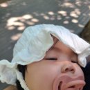 미즈아이프라자산부인과의원 | 수락산역 달빛어린이병원 미즈아이소아청소년과 우리아이 첫감기 기록