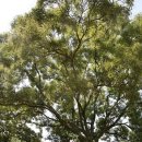 우곡리경로당 이미지