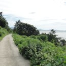 백암 3교 이미지