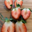 한열농장 | [과일] 택배로 구매한 논산딸기 설향 + 비타딸기 '쟌니삼촌 딸기농장' 솔직 후기!