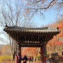 CU익산부송센터점 | [정읍] 단풍구경 내장산을 가다.