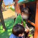 해솔유치원 이미지