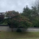 부소산성 삼충사 화장실 | 여름 부여 1박2일