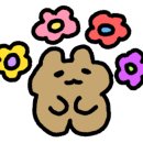 폴리민박 이미지