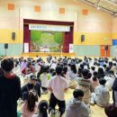 간성초등학교 이미지