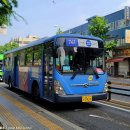 은곡농장 이미지