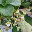 잘커농장 이미지