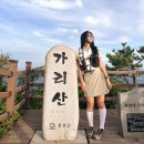 야시대로 이미지