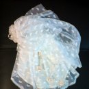 럭셔리 펫 이미지