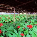 금산이네 이미지