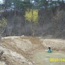 기대농장 이미지