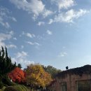 어린이대공원 | 서울 단풍놀이 추천! 아이와 함께한 서울 어린이 대공원 후기