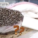 따봉 이미지