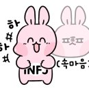 요리노리
