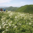 타임9002 Daum카페