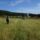 아라메길(3) 이미지