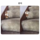 이다원 Daum카페