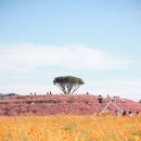 신소양체육공원 이미지